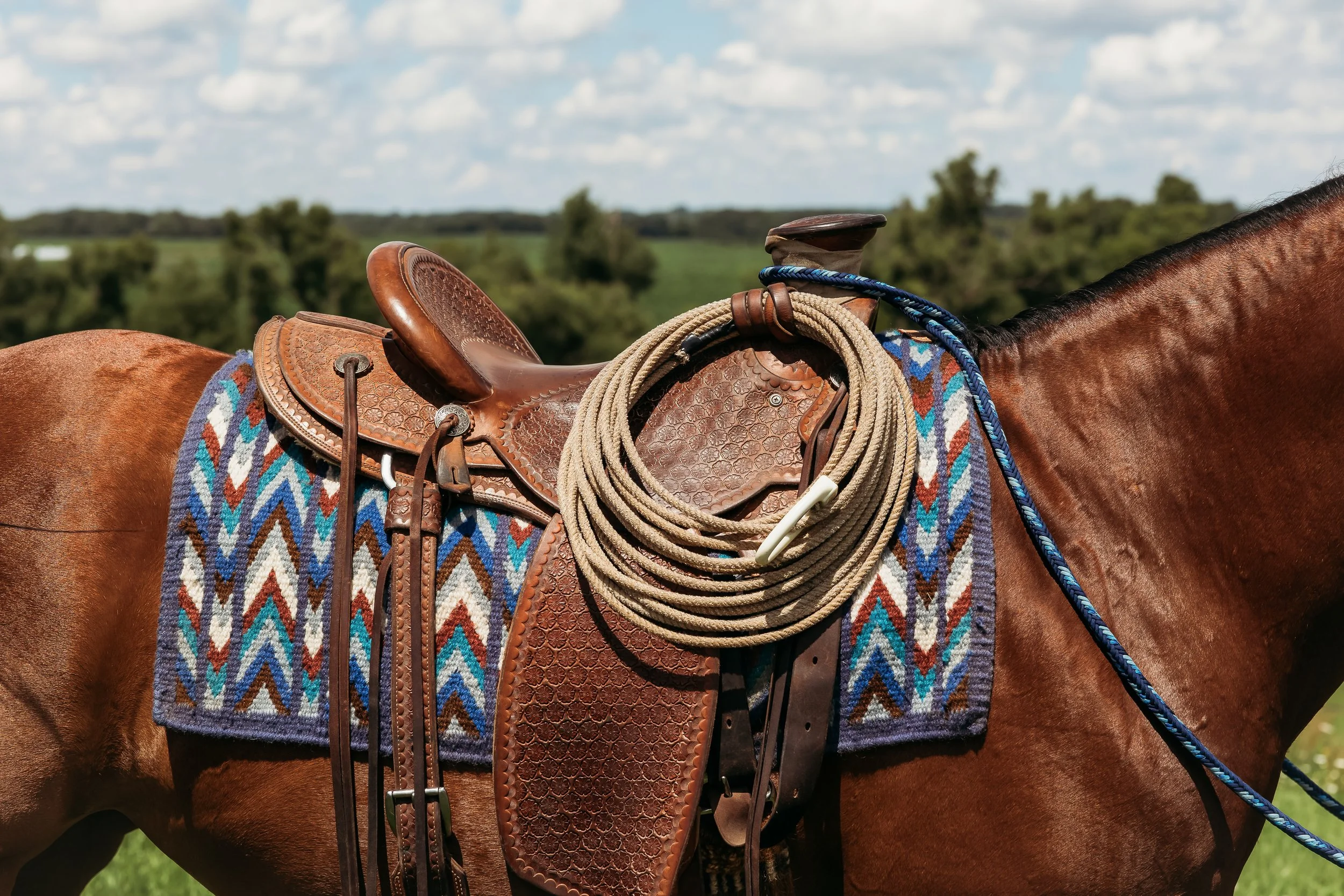 Short Serpentine Royal Saddle Blanket — Yonder Horse